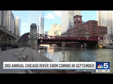 Il Chicago River Swim è pronto a tornare dopo il primo anno storico | NBC Chicago Il Chicago River Swim è pronto a tornare dopo il primo anno storico | NBC Chicago