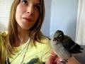 videos de Table Manners