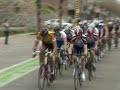 kim koers