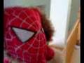 Spider-Dog the Stunt Man # 5