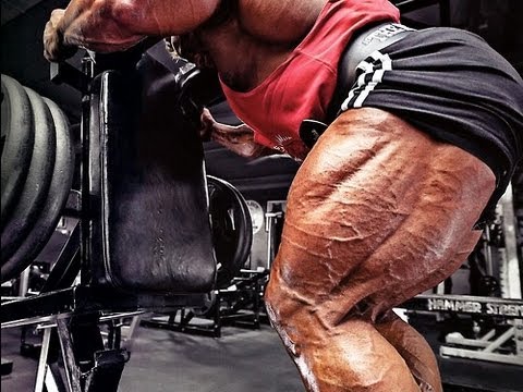 how to train legs for mass
