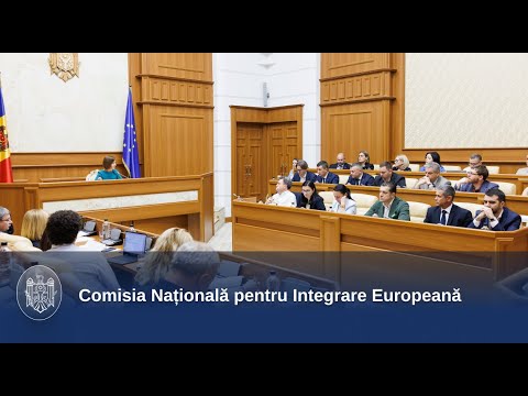 Накануне Межправительственной конференции Молдова-ЕС члены НКЕИ встретились для обсуждения переговорной позиции Молдовы