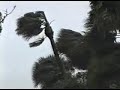 Tropical Storm Gordon - Miami, FL - November 13-16, 1994