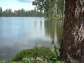 Lake Tamarack Lake Tamarack