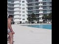Pinguim Maluco de Miami