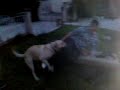 FarF & cesar FarF & cesar