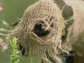 History Channel - occupation of Britain part 11
