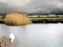 Natuurbumper 3/3