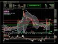 WAMUQ: Stock Chart Analysis on Washington Mutual (01.04.2010 by TimelessWealth.net)