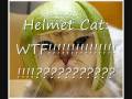videos de Cats VS Rodents