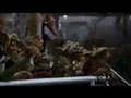 Gremlins 2 Music Video (Jerry Goldsmith)