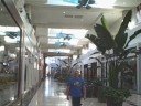 Teaching, Eating and Shopping in Portland