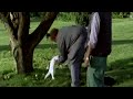 Adams �pfel (Auszug) - V�gel