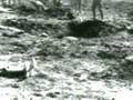 Battle of the Somme