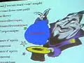 dernier cours de chimie paris 5 2007