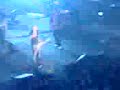 Happy Hour, ligabue 2007 dutch forum assago