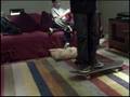 Carpet Cleaners