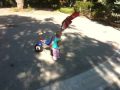 Haasini Playing with tricycle 2