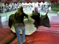 BULL RIDING!!