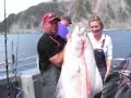 alaska fishing   salmon halibut ling cod   seward ak