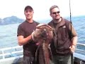 alaska fishing   salmon halibut ling cod   seward ak