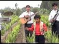 CHARAPITA EL NIÑO DE ORO