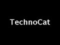 TECHNO BIGGLE