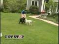 videos de 08-04-23 30-Second Commercial.mov