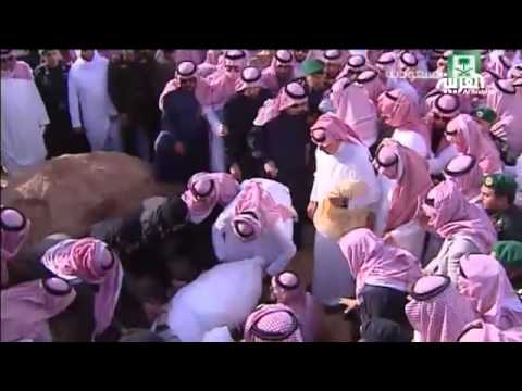 صور