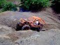 bronco buggie