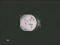 Fly Mutations and Anomolies in Perception Fly Mutations and Anomolies in Perception
