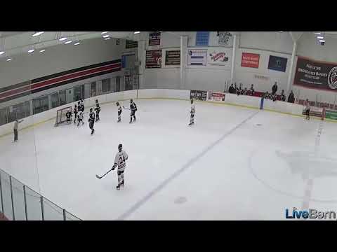 Goal v. Providence Hockey Club