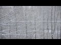Ce temps merveilleux qui est de retour.