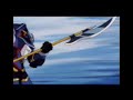 Vanguard Bandits
