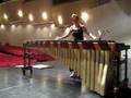 Transformation of Pachelbel's Cannon - Nanae Mimura, Marimba