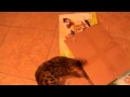 Bengal Box Destroyer