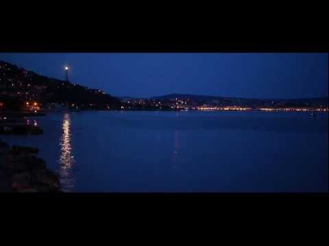 Trieste lives