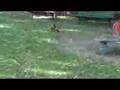 RC-Dirt-Bike-at-park