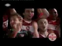 euro 2008 millitakim