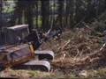 JCB 812 with Skogserik stroke boom