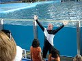 Shamoo at Sea World (part 1)
