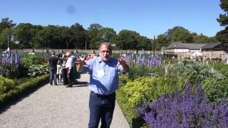 #427 Gartenshow Bloom (Irland, 2011) - Border Garden