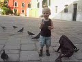 Duifjes voederen Duifjes voederen