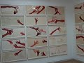 Louise Bourgeois Pompidou 2008