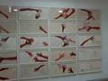 Louise Bourgeois Pompidou 2008