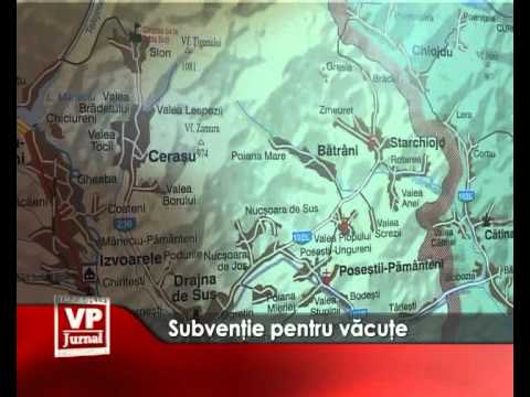 Subventie pentru vacute