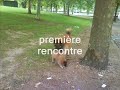 nanouk et cayenne story