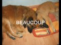 nanouk et cayenne story