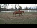 Betting on an impulse
