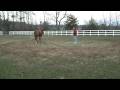 videos de Betting on an impulse